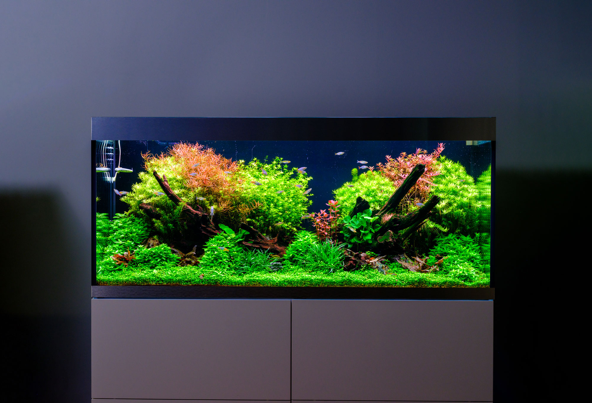 Twinstar G+ Line IP67 wasserdichte WRGB Aquarium LED-Leuchte – ideale Beleuchtung für Aquascaping mit starkem Pflanzenwachstum und lebendigen Fischfarben